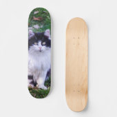 Skateboard Gato raza Maine Coon pelo largo (Vorderseite)