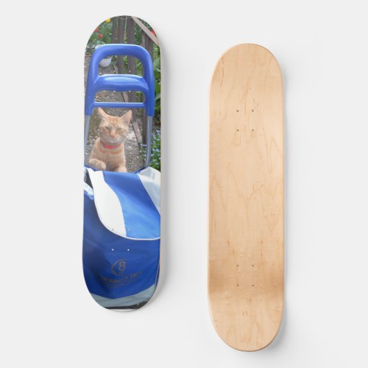 Skateboard Ginger Cat (Vorderseite)