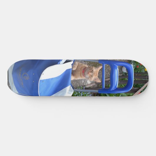 Skateboard Ginger Cat (Horizontal)