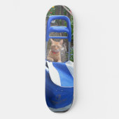 Skateboard Ginger Cat (Vorderseite)