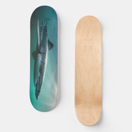 Skateboard Hai hungrig Raubtier. (Vorderseite)