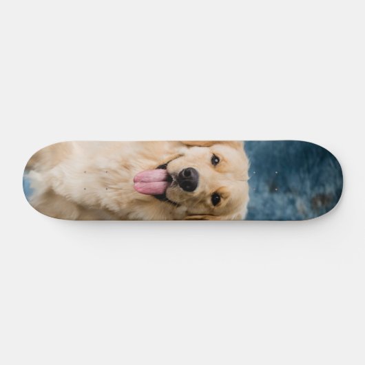 Skateboard Inteligente perro Labrador (Horizontal)