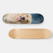Skateboard Inteligente perro Labrador  (Horizontal)
