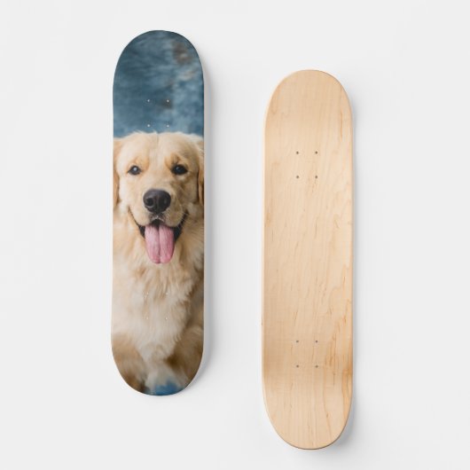 Skateboard Inteligente perro Labrador  (Vorderseite)