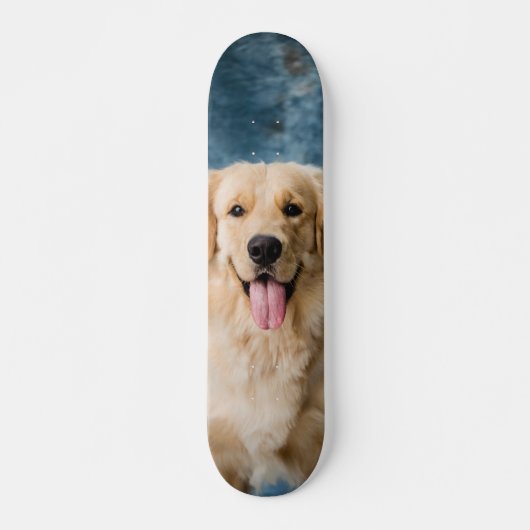 Skateboard Inteligente perro Labrador  (Vorne)