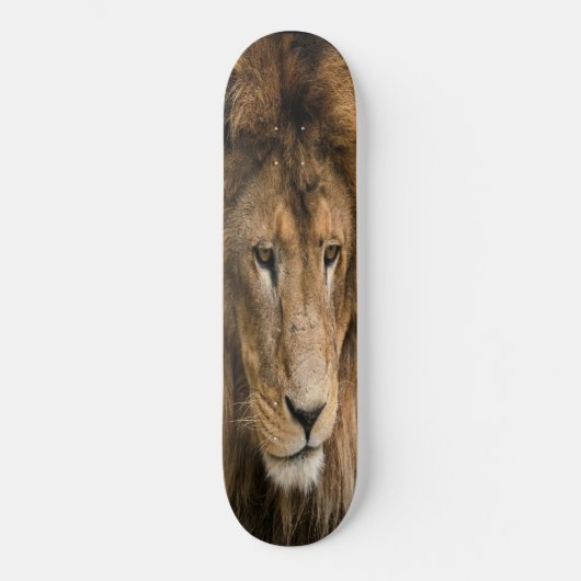Skateboard kraftvoll gebaut LION (Vorderseite)
