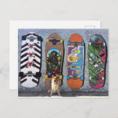 Skateboard-Landschaft für Hunde Postkarte (Vorne/Hinten)