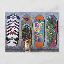 Skateboard-Landschaft für Hunde Postkarte