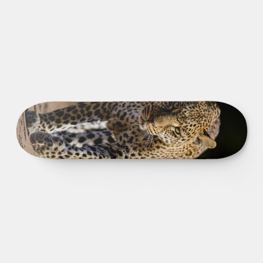 Skateboard Leopardo peligroso depredador (Horizontal)