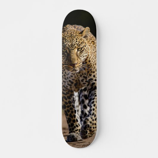 Skateboard Leopardo peligroso depredador (Vorne)