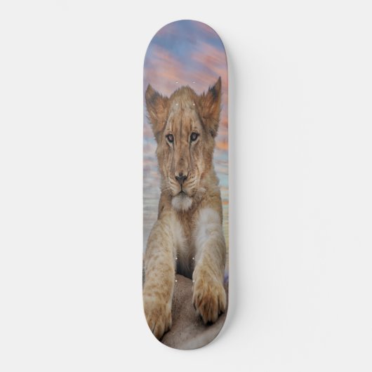 Skateboard LION CUB SUNSET (Vorderseite)