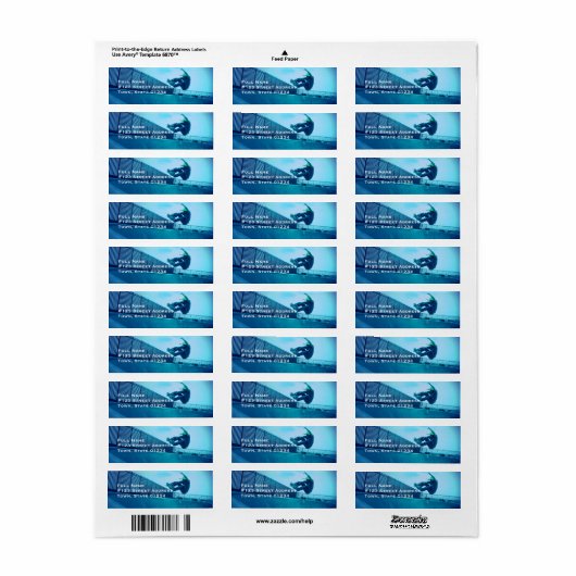 Skateboard-Mailing-Labels (Vorne)