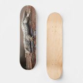 Skateboard mit Eidechse (Vorderseite)