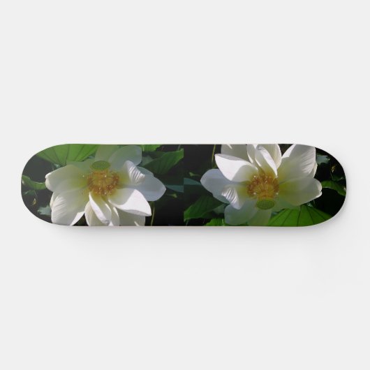 Skateboard mit feiner, weißer Lotus-Blume (Horizontal)