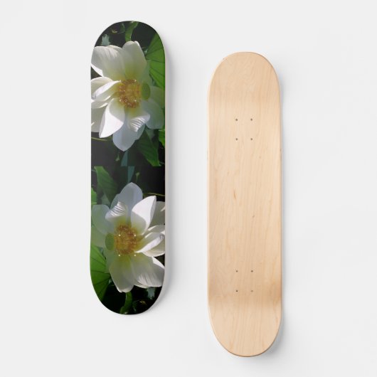 Skateboard mit feiner, weißer Lotus-Blume (Vorderseite)