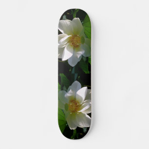Skateboard mit feiner, weißer Lotus-Blume