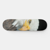 Skateboard - Nature Bird Eagle (Horizontal)
