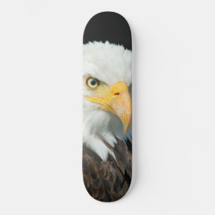 Skateboard - Nature Bird Eagle