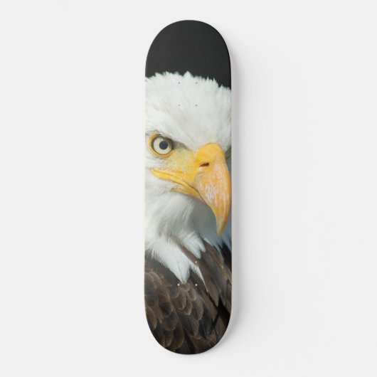 Skateboard - Nature Bird Eagle (Vorderseite)