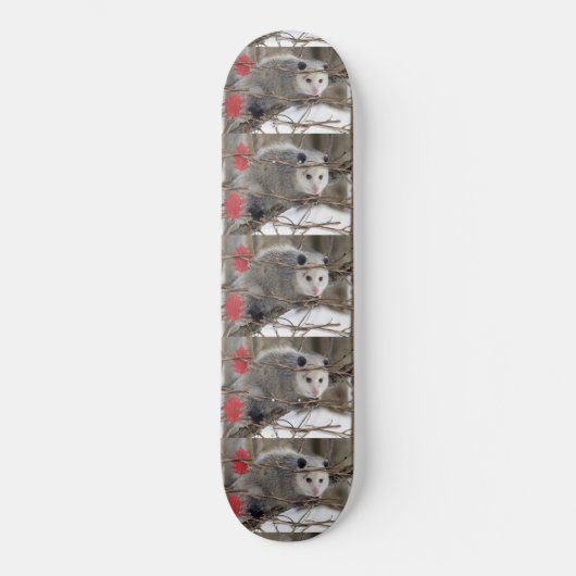 Skateboard Opossum Natur (Vorderseite)