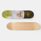 Skateboard Peludo gato persa observando (Horizontal)