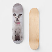 Skateboard Perro Boxer sentado en la nieve (Vorderseite)