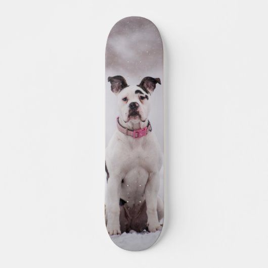 Skateboard Perro Boxer sentado en la nieve (Vorne)