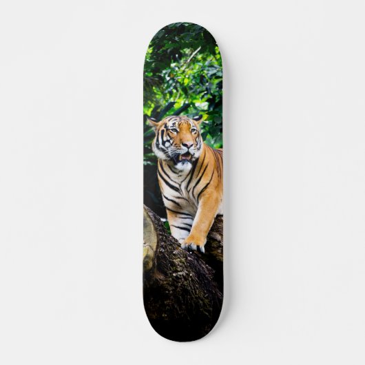 Skateboard Poderoso cazador tigre de Bengala (Vorne)