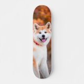 Skateboard Poderoso perro Akita japonés sentado (Vorne)