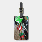 Skateboard-Räder Gepäckanhänger (Vorderseite vertikal)