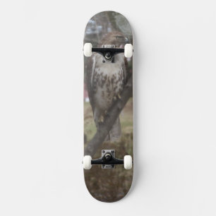 Skateboard Rotschwanzbussard - Wähle DEIN Deck