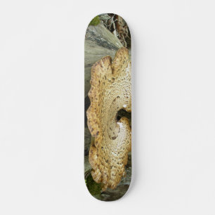 Skateboard Shelf Fungus auf Baumstumpf