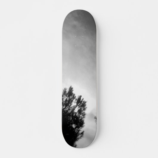 SKATEBOARD-STIL UND DESIGN SKATEBOARD (Vorne)