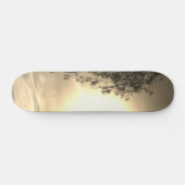 Skateboard-Stil und Design Skateboard (Horizontal)
