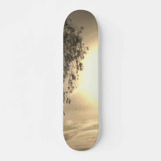 Skateboard-Stil und Design Skateboard (Vorne)