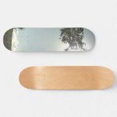 SKATEBOARD-STIL UND DESIGN SKATEBOARD (Horizontal)