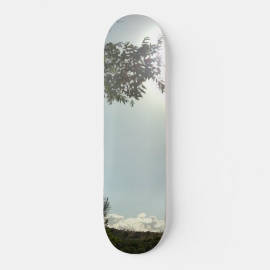 SKATEBOARD-STIL UND DESIGN SKATEBOARD (Vorderseite)