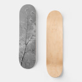 Skateboard-Stil und Design Skateboard (Vorderseite)