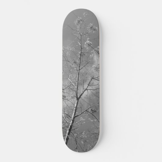 Skateboard-Stil und Design Skateboard (Vorderseite)