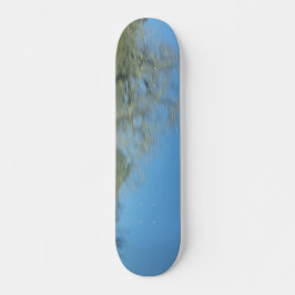 Skateboard-Stil und Design Skateboard
