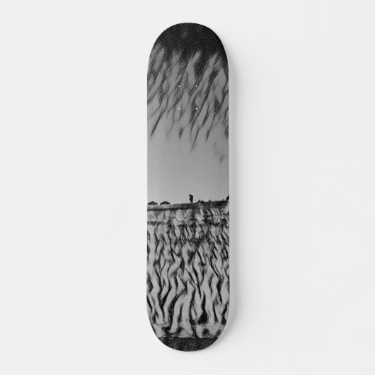 SKATEBOARD STYLE AND DESIGN (Vorne)