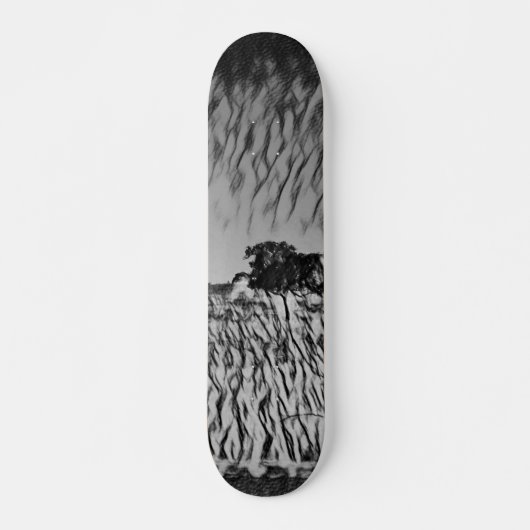 SKATEBOARD STYLE AND DESIGN (Vorne)