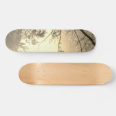 SKATEBOARD STYLE AND DESIGN (Horizontal)