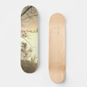 SKATEBOARD STYLE AND DESIGN (Vorderseite)