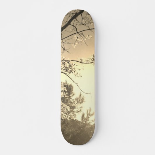 SKATEBOARD STYLE AND DESIGN (Vorne)