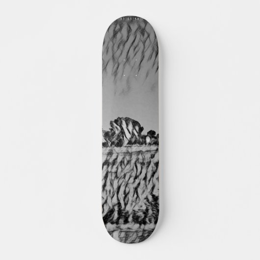 SKATEBOARD STYLE AND DESIGN (Vorne)
