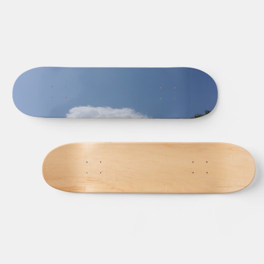 SKATEBOARD STYLE AND DESIGN (Horizontal)