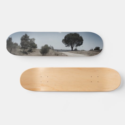 SKATEBOARD STYLE DESIGN (Horizontal)