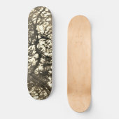 SKATEBOARD STYLE DESIGN (Vorderseite)
