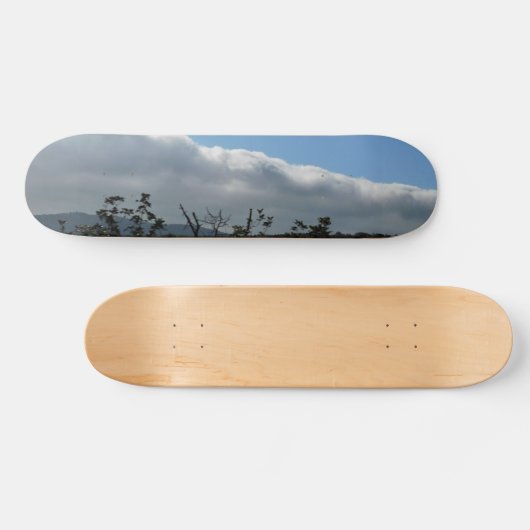 SKATEBOARD STYLE UND DESIGN (Horizontal)